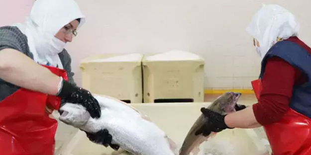 Cumhuriyet tarihinin rekoru kırıldı! Türkiye'den 103 ülkeye 312,2 milyon dolarlık ihracat…