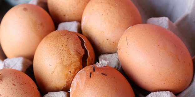 Çürük yumurtanın faydası keşfedildi