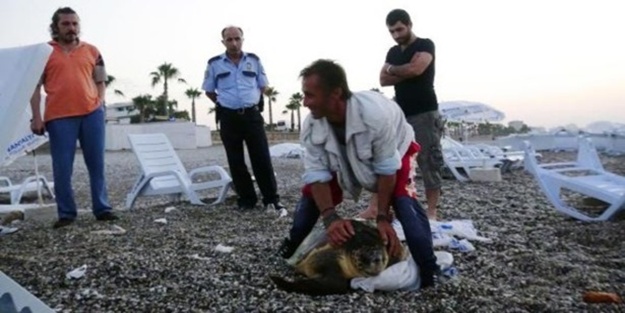 Çuvalla götürürken yakalandı