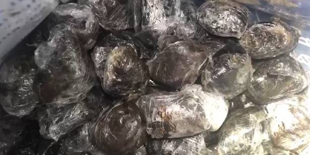 Çuvallarından içinden çıkanlar şoke etti!