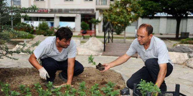 Karşıyaka yaz çiçekleriyle süsleniyor