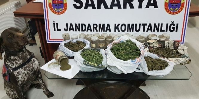 Jandarma ekiplerinden esrar operasyonu