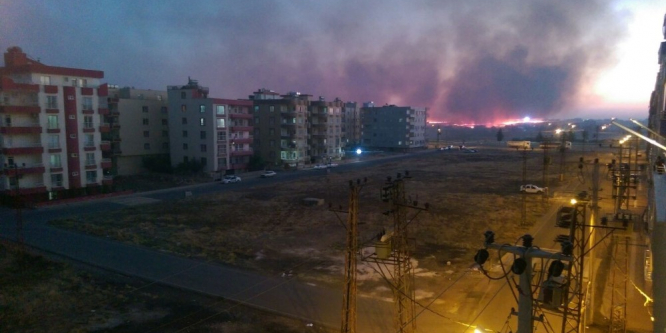 Viranşehir’de anız yangını