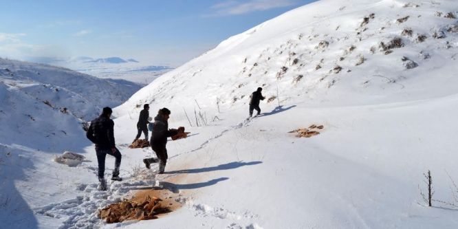 Ülkücüler doğaya yem bıraktı