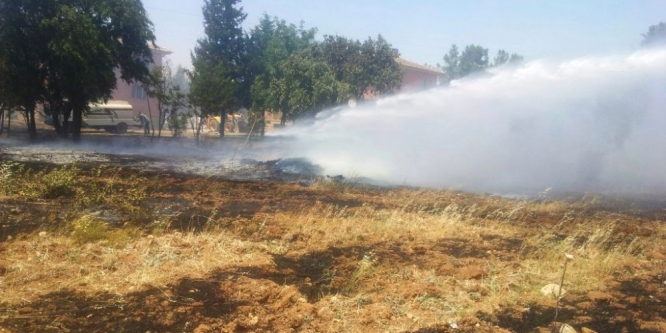 Mardin’de ağaçlık alanda yangın