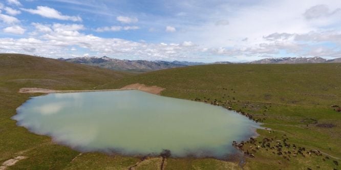 Büyükşehir’den tarım ve hayvancılığa tam destek