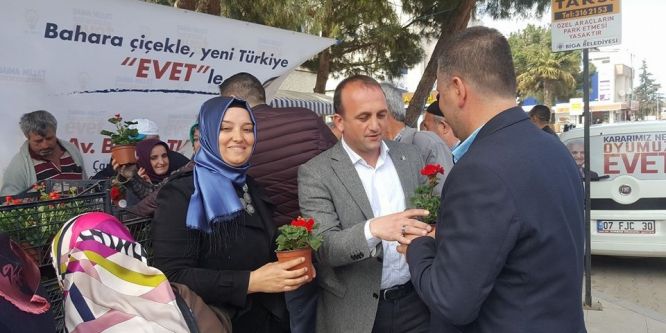 Biga’da 4 bin adet çiçek dağıtıldı