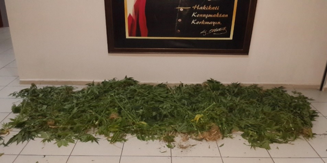 İzmir’de uyuşturucu operasyonu: 2 gözaltı