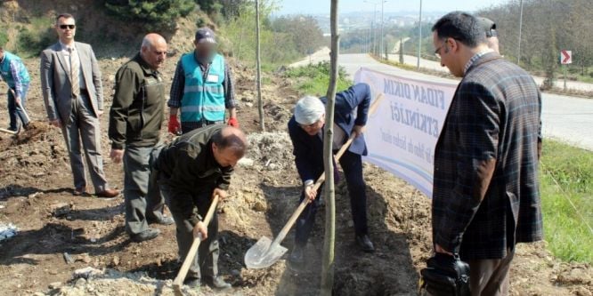 Yalova’da hükümlüler bin 260 fidan dikti