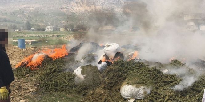 30 ton uyuşturucu imha edildi