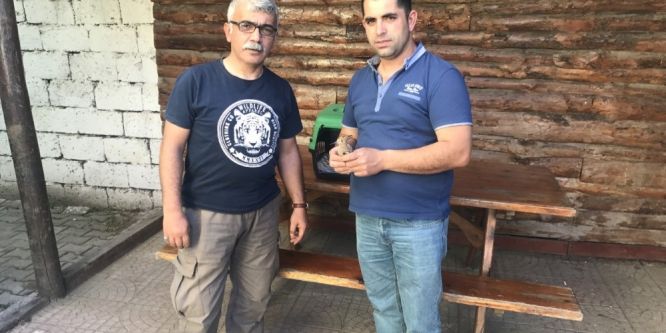 Yavru İbibik koruma altına alındı