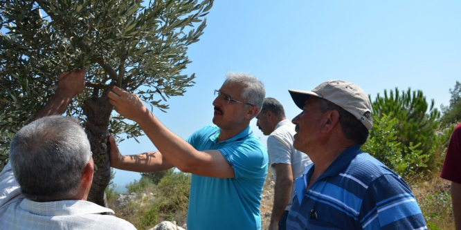 Orman köylüsünün yüzü güldü
