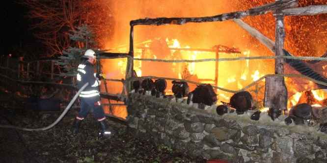 Zonguldak'ta at çiftliği alev alev yandı, işyeri sahibi gözyaşlarına boğuldu