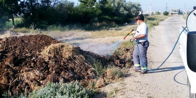 Karaman’da haşere ile mücadele