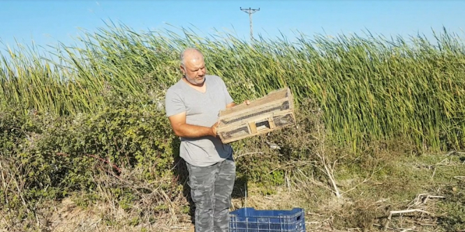 93 saka kuşu doğaya salındı