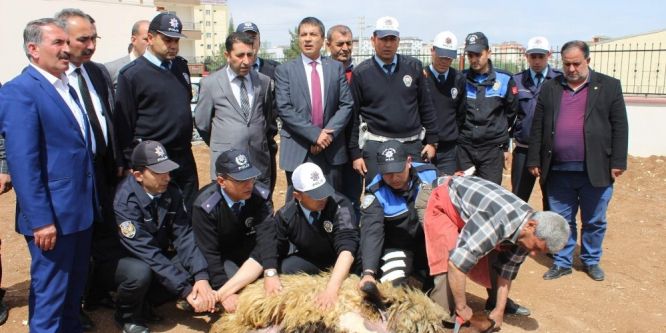 Polis kazalara karşı kurban kesti