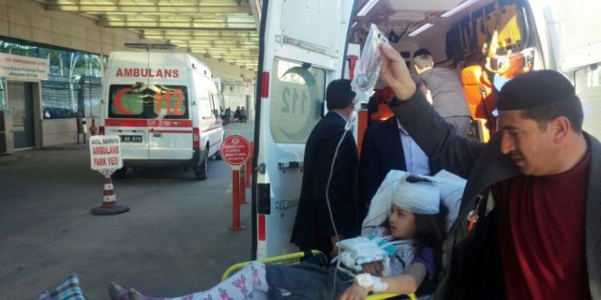 Eşek tarafından ısırılan 3 çocuk hastaneye kaldırıldı