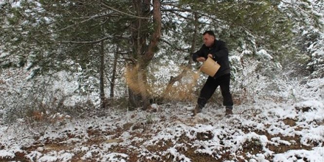 Doğaya yem bıraktılar