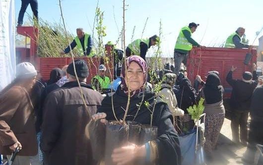 Beylikova’da 10 bin ücretsiz fidan dağıtıldı