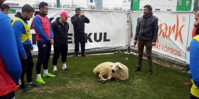 Sivas Belediyespor kurban kesti