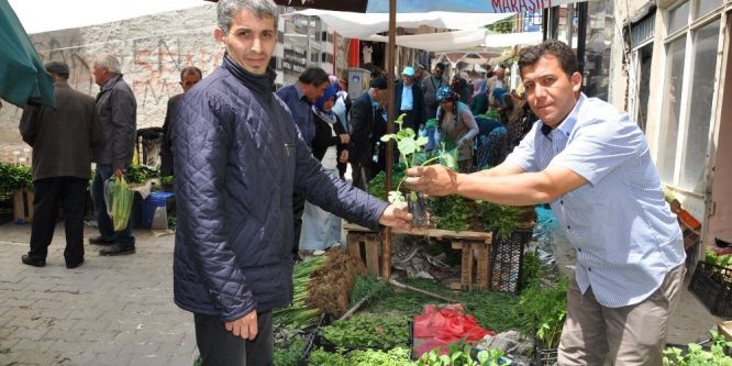 Simav’da organik sebze fidesi pazarı