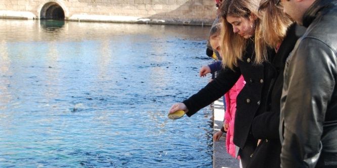 Vatandaşlar güneşli havanın tadını çıkarıyor