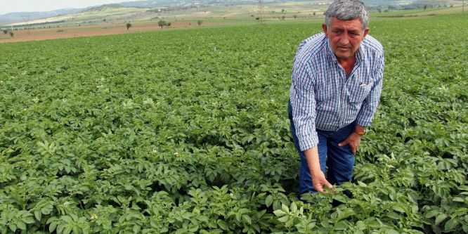 Çiftçi sarı liradan umutlu