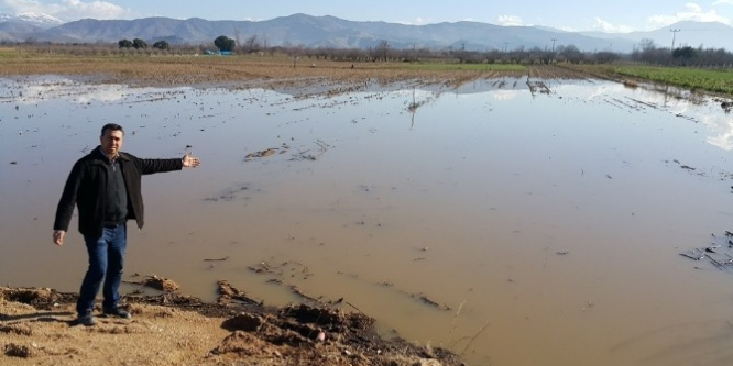 Yağmur sonrası tarlalarda sel mağduriyeti