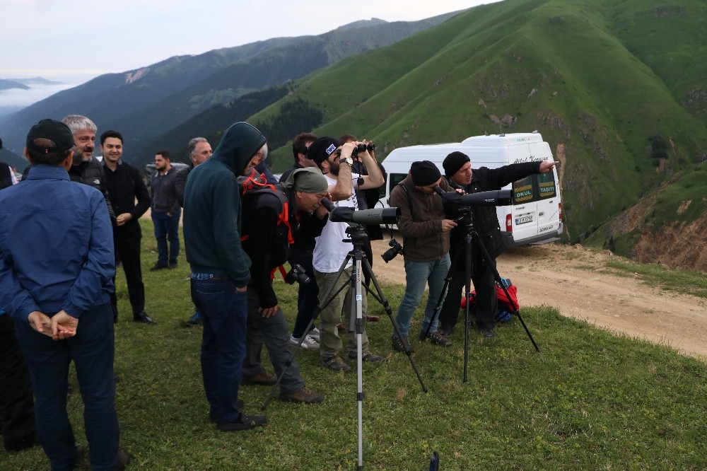 Dağ horozu kendini 3 yıl sonra 2 km uzaktan dürbünle gösterdi 