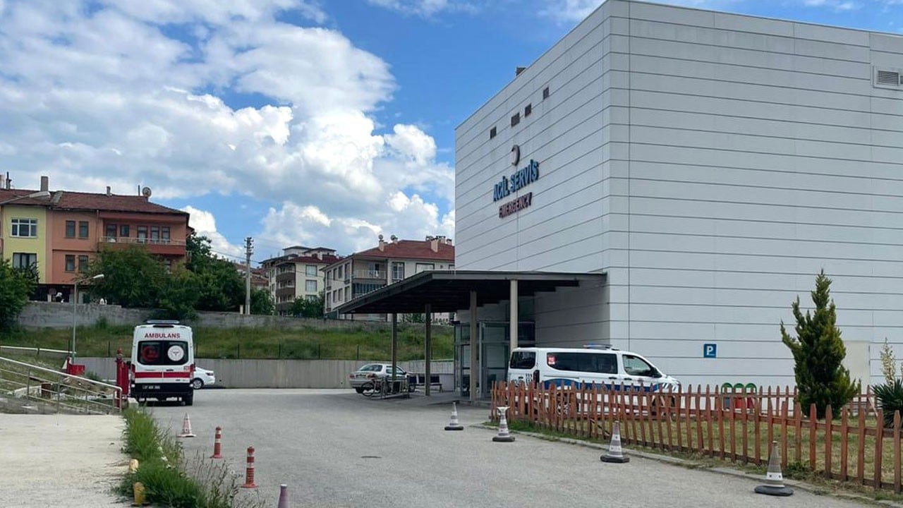Dağda çalışırken arı soktu! 65 yaşındaki orman işçisi hayatını kaybetti