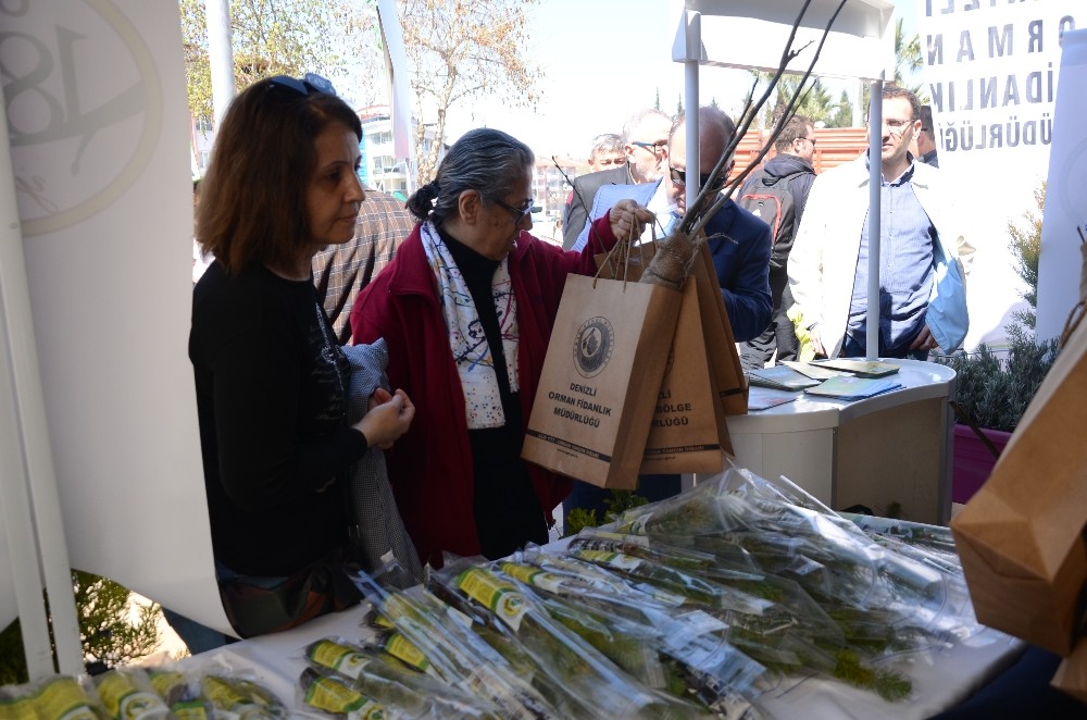 Dağıtılan 4 bin fidan dakikalar içinde bitti 