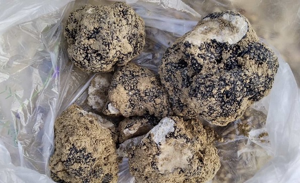 Dağlar bu mantarla dolup taşıyor! Kilosu tam 400 euro