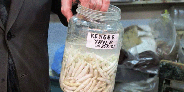 Dağlara gidemeyince kilosu 600 TL’yi buldu! Tanesi ise…