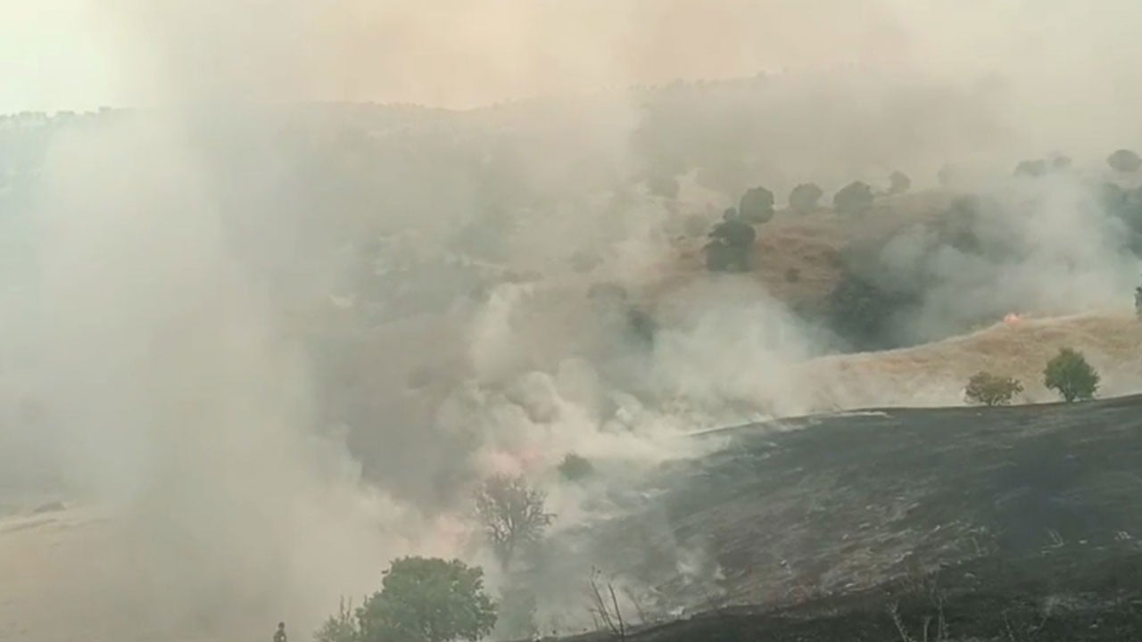 Dağlık alandan dumanlar yükseldi! Malatya’da orman yangını