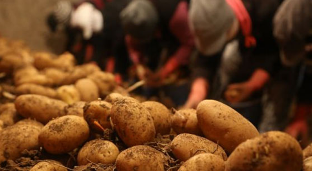 Daha fazla tüketin, 400 bin ton tehlikeye girdi