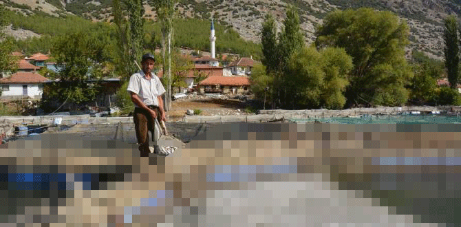 Daha önce 3 kez yaşandı bu sefer 1,5 milyon adet telef oldu