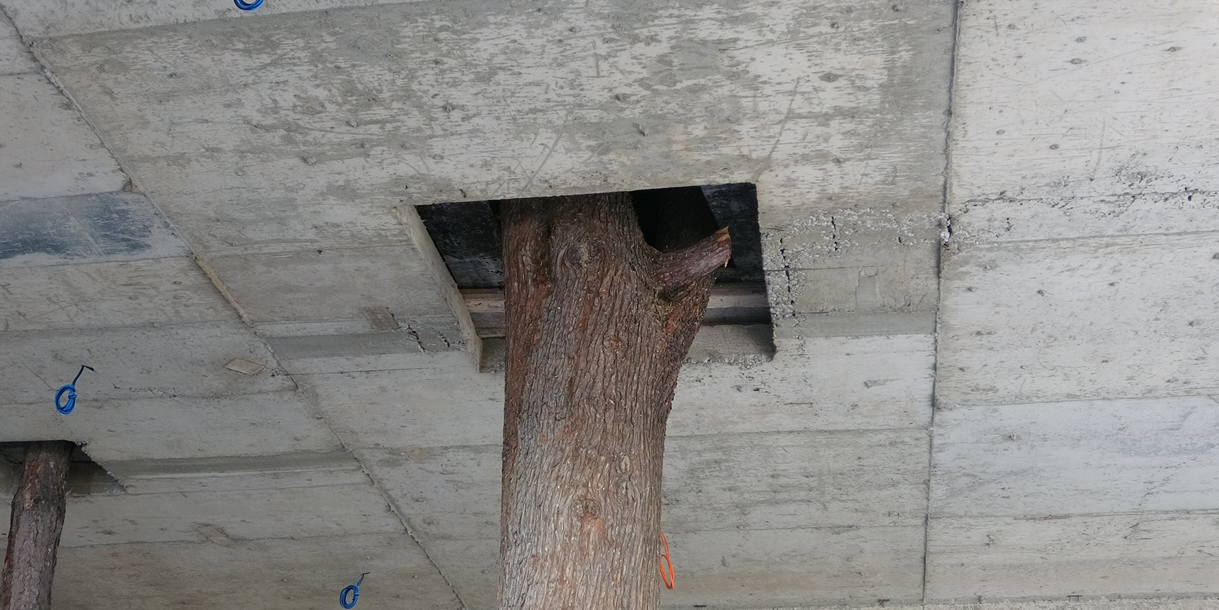 Daha önce böylesini gördünüz mü? Bu inşaat şaşkına döndürüyor