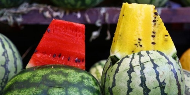 Daha önce sarı karpuz görmüş müydünüz?