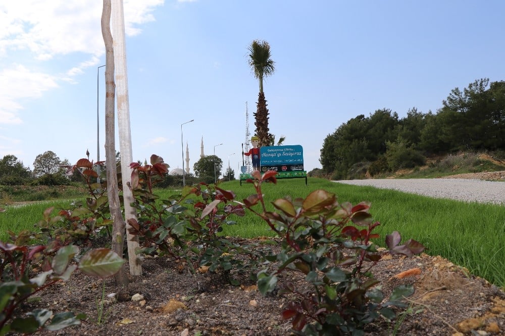 Daha yeşil bir Alanya için çalışmalar sürüyor 