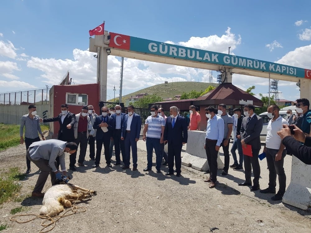 DAİB yönetimi sınır kapısında kurban kesip dua etti 