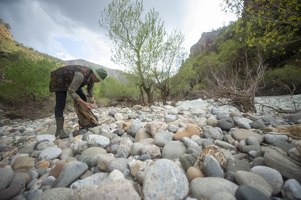 Dal ve taşları sanat eserine dönüştürüyo