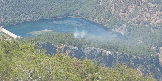 Dalaman'da orman yangını! Kısa sürede yayıldı