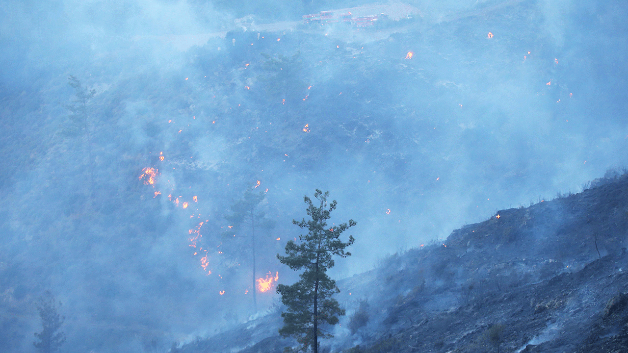 Dalaman'da orman yangınına müdahale devam ediyor