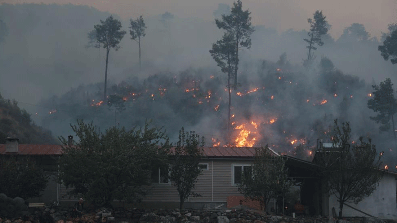 Dalaman'daki yangından güzel haber