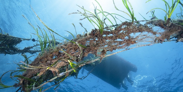 Dalgıçlar denizde hayalet ağ topladı, öğrenciler kıyıyı temizledi