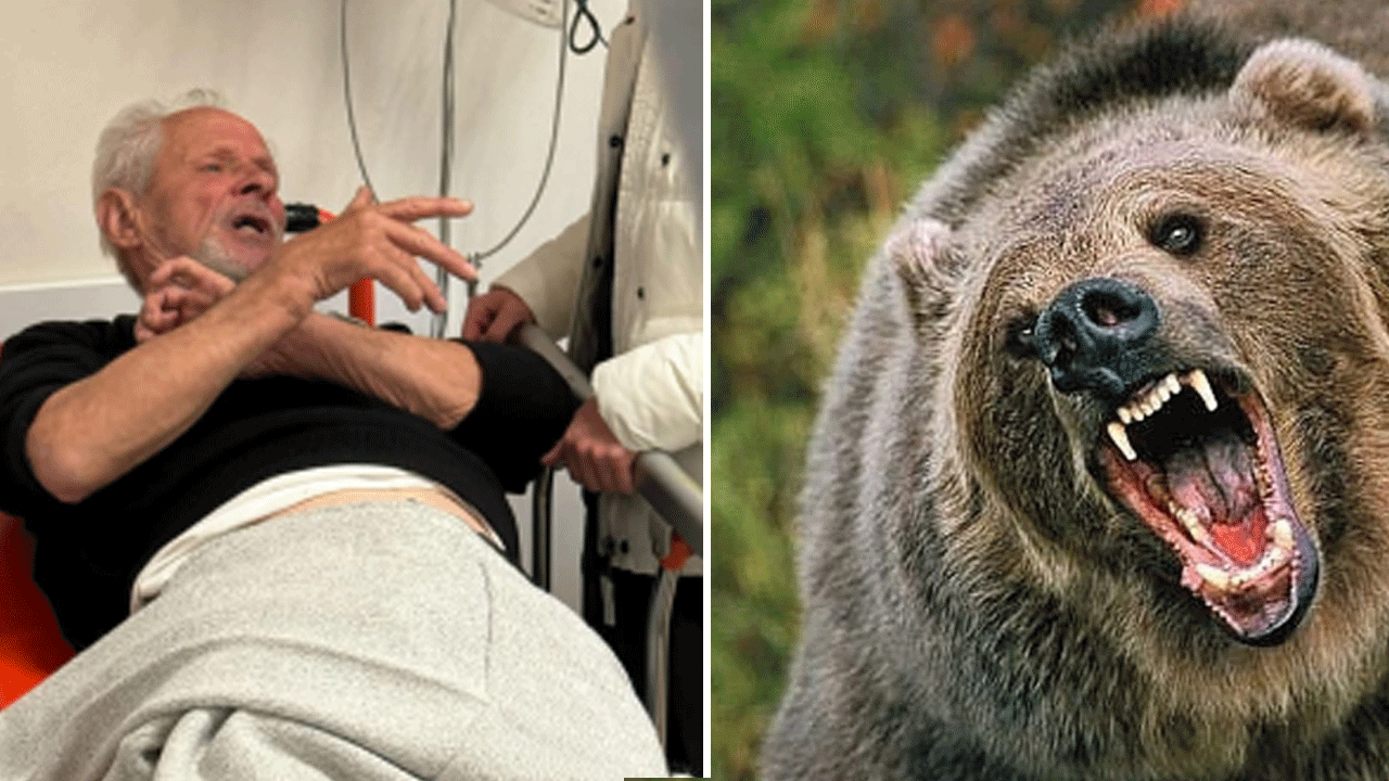 Dalı kesti ayı ile göz göze geldi: Pençe darbelerinden canını zor kurtardı