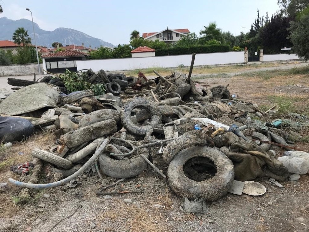 Dalyan kıyı dibi usturmaça ile dolmuş 