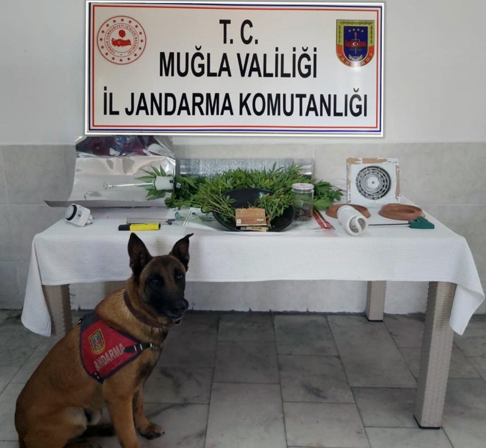 Dalyan’da uyuşturucu imalathanesine operasyon 