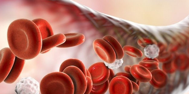 Damar tıkanıklığına iyi gelen besinler