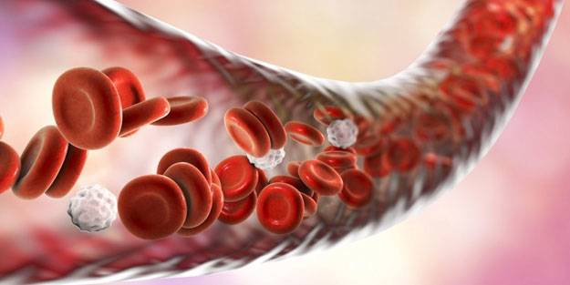 Damarları sağlıklı tutmanın 4 yolu